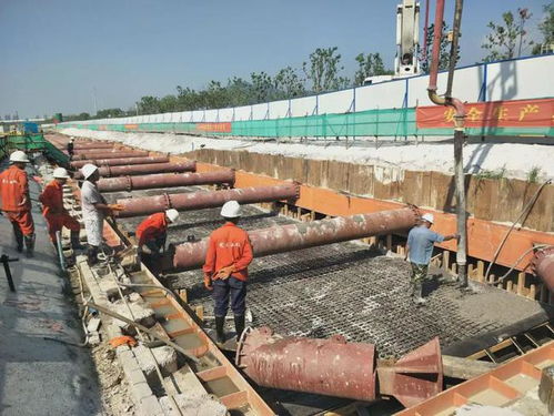 市政集團黨總支 黨建聯建，攜手共建精品民生工程